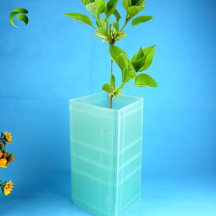 Square Type