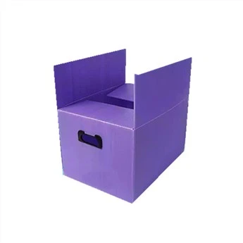 Pp Corflute Box Comert cu ridicata din China